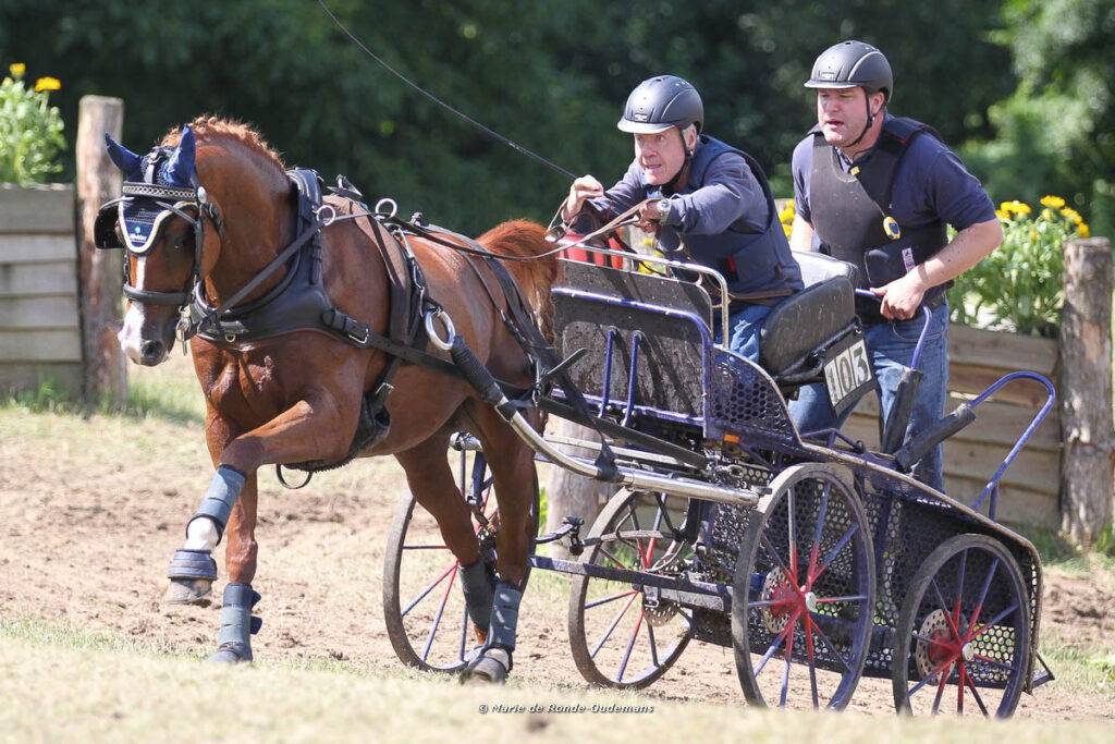 Beesd: Para-WM: Lehrter und Röder gewinnen den Marathon